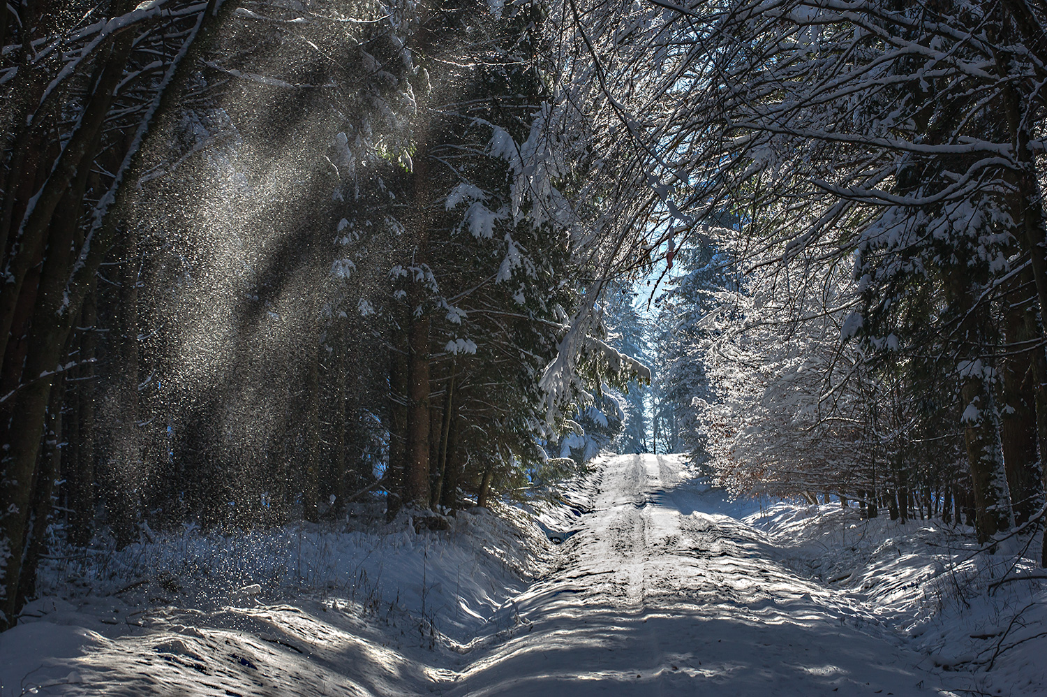 Walking in a winter wonderland...