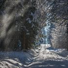 Walking in a winter wonderland...