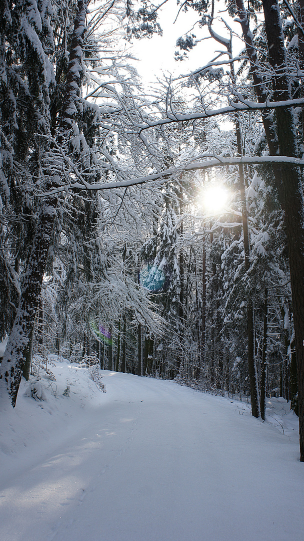 Walking in a Winter Wonderland