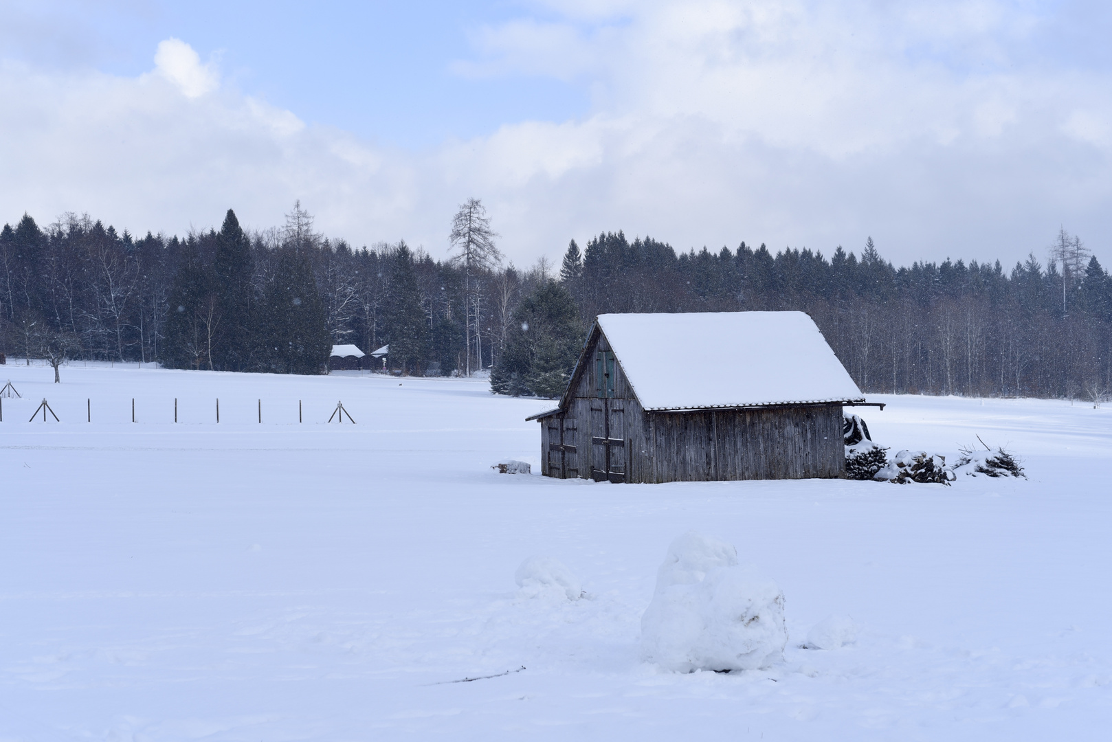 Walking in a winter wonderland