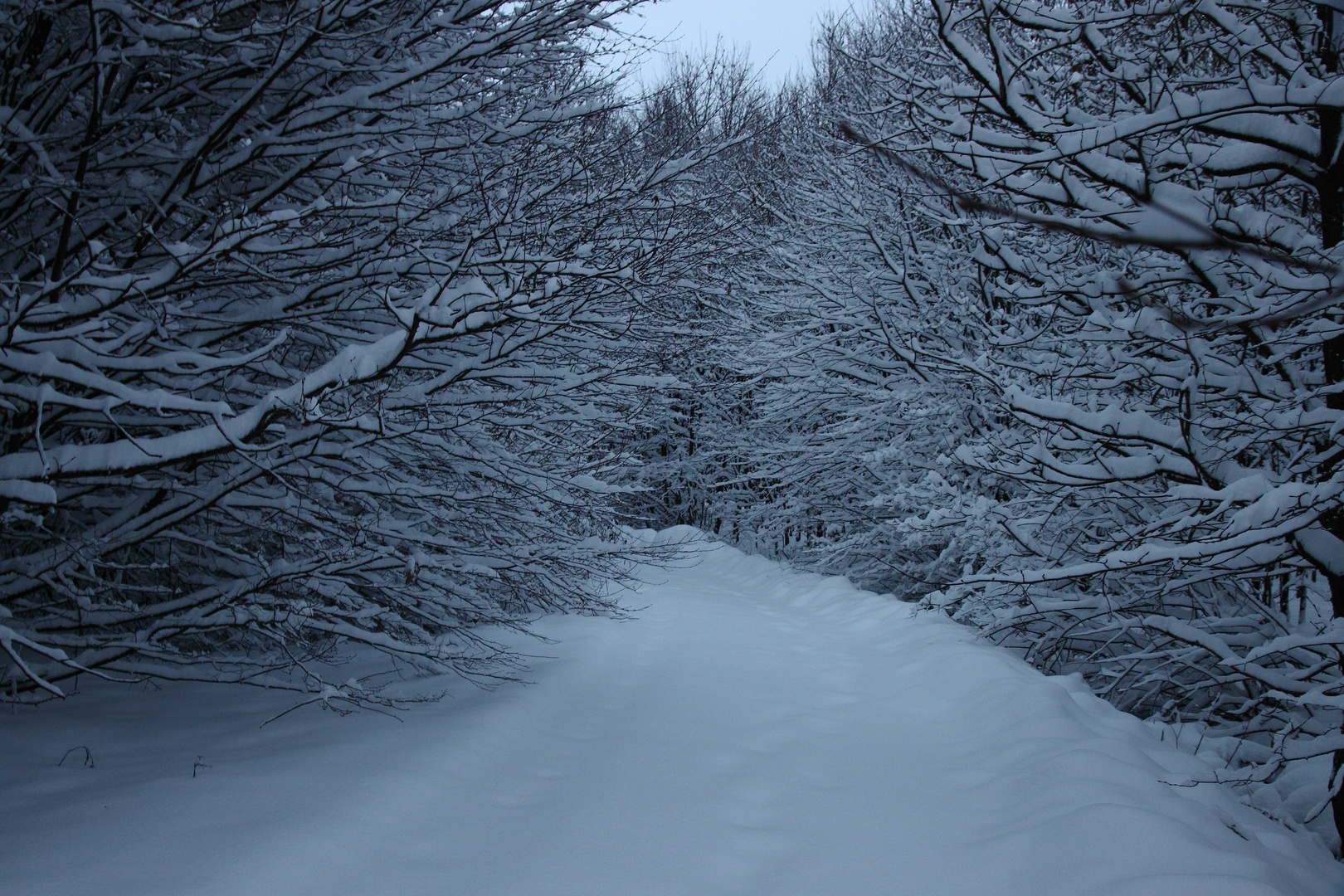 Walking in a winter wonderland