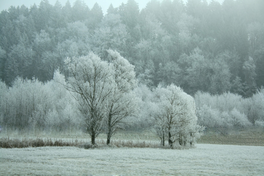 Walking in a winter wonderland...