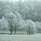 Walking in a winter wonderland...