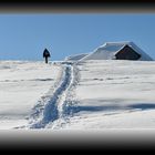 Walking in a winter wonderland Tag 16