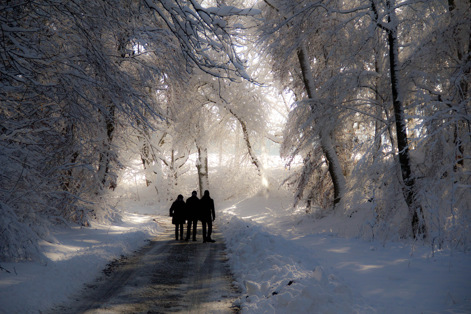 Walking in a Winterwonderland