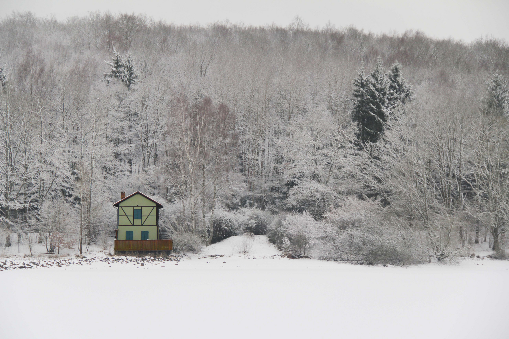 Walking in a Winterwonderland