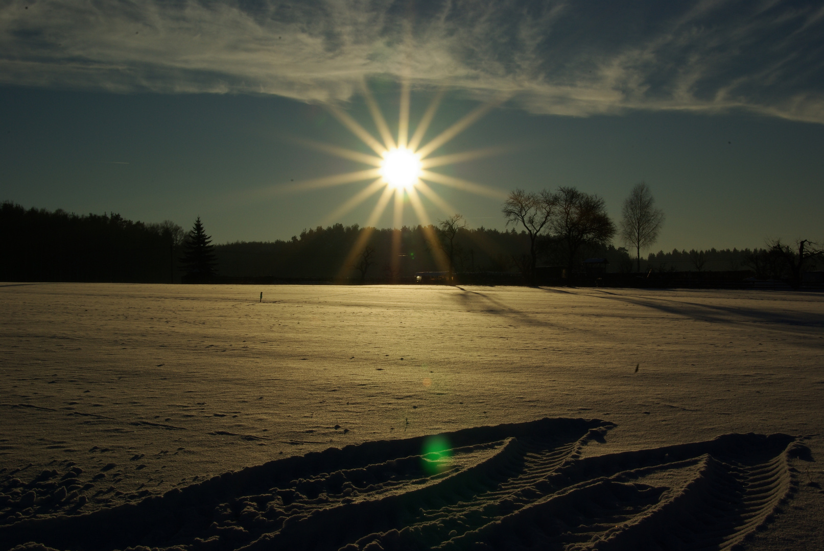 Walking in a Winterwonderland Spuren im Schnee!