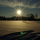 Walking in a Winterwonderland Spuren im Schnee!