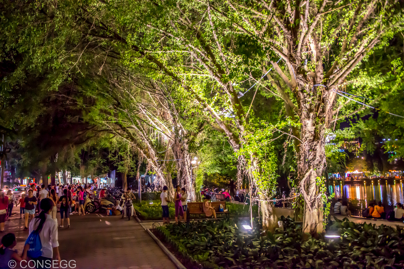 Walking in Hanoi