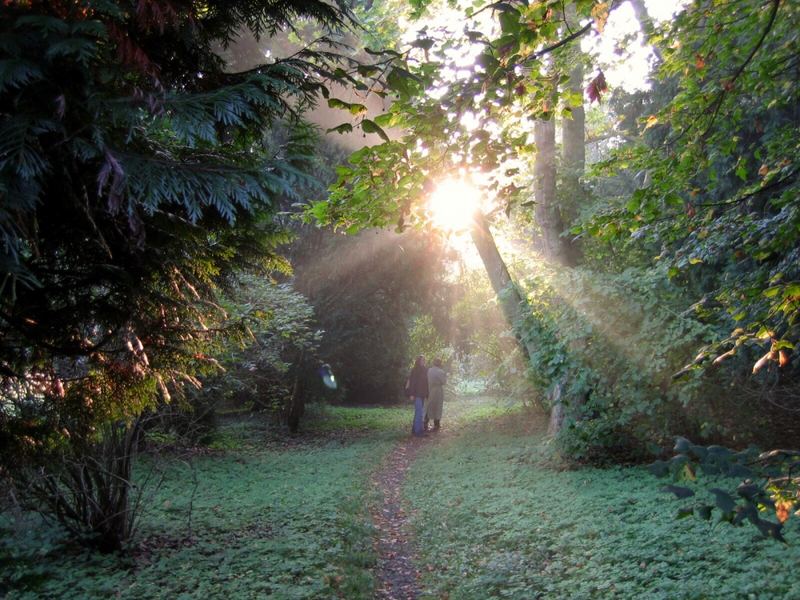 Walking in Lednice Park