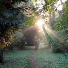 Walking in Lednice Park