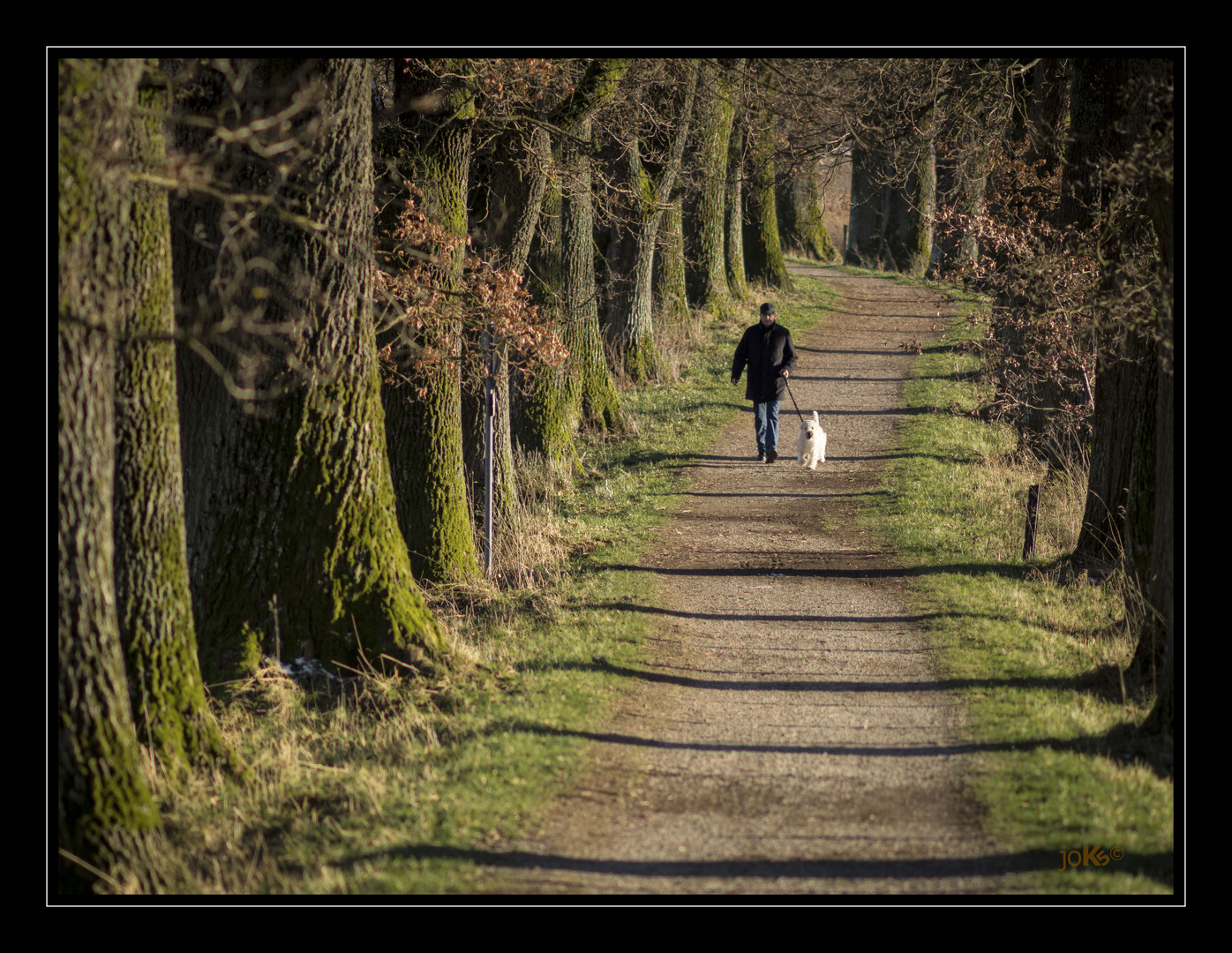 Walking in nature