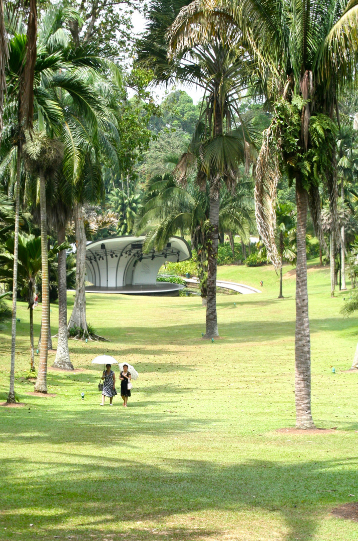 walking in oriental park