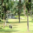 walking in oriental park