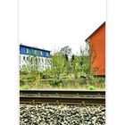 - walking in springtime along the rails, tramway 18 Cologne -Bonn-Cologne....... -