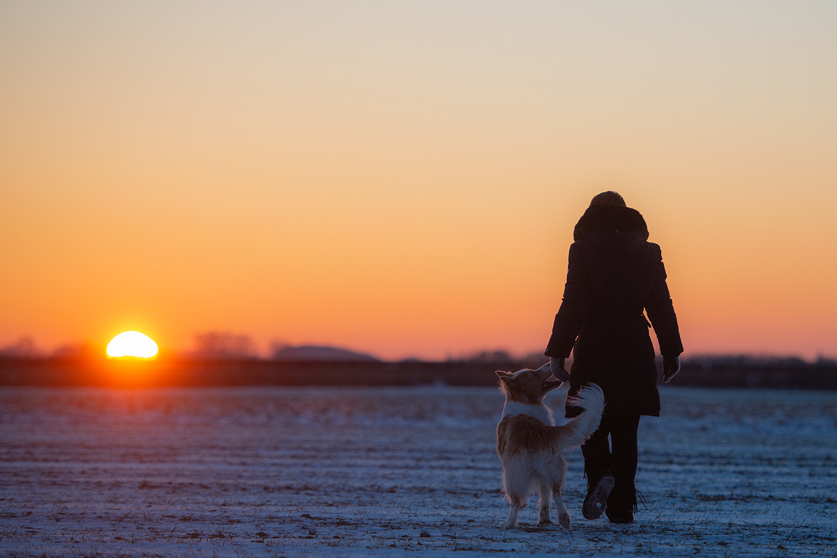 walking in sunshine