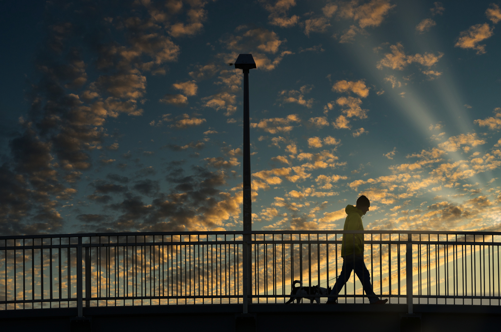 Walking in Sunshine