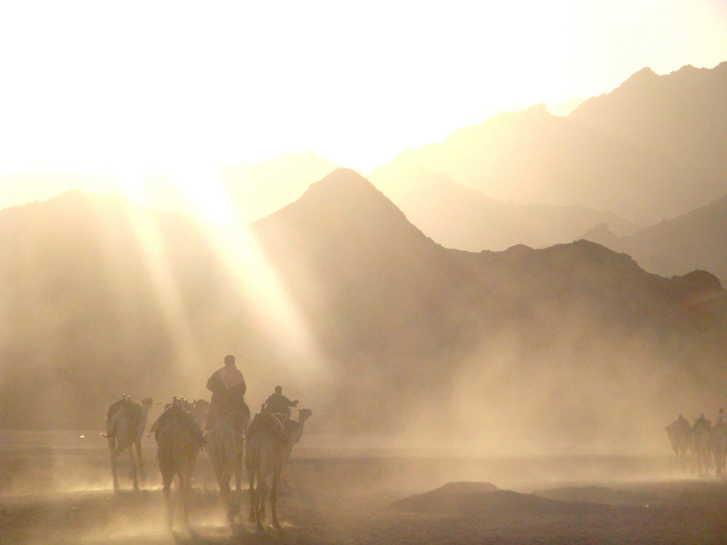 walking in the desert