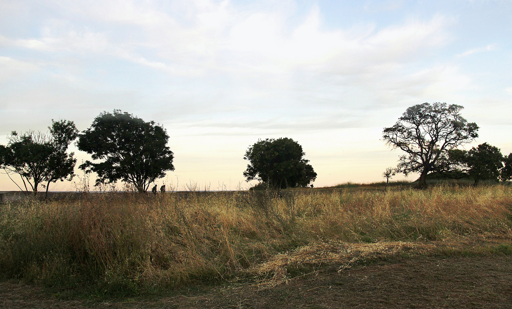 WALKING IN THE EVENING