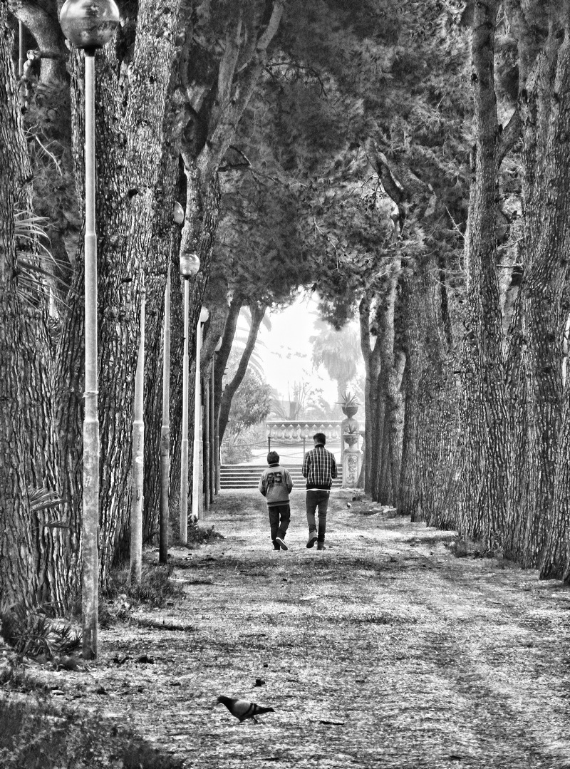 WALKING IN THE PARK