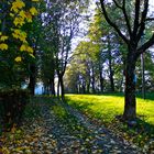 Walking in the park