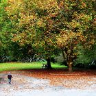 Walking in the park