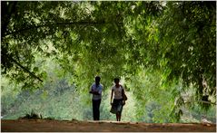 Walking in the Park ...