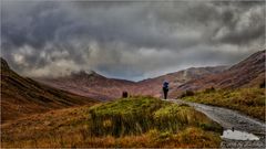 Walking in the Rain