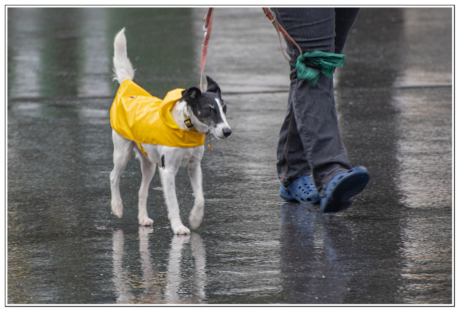 Walking-in-the-rain