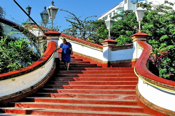 Walking in the Shade