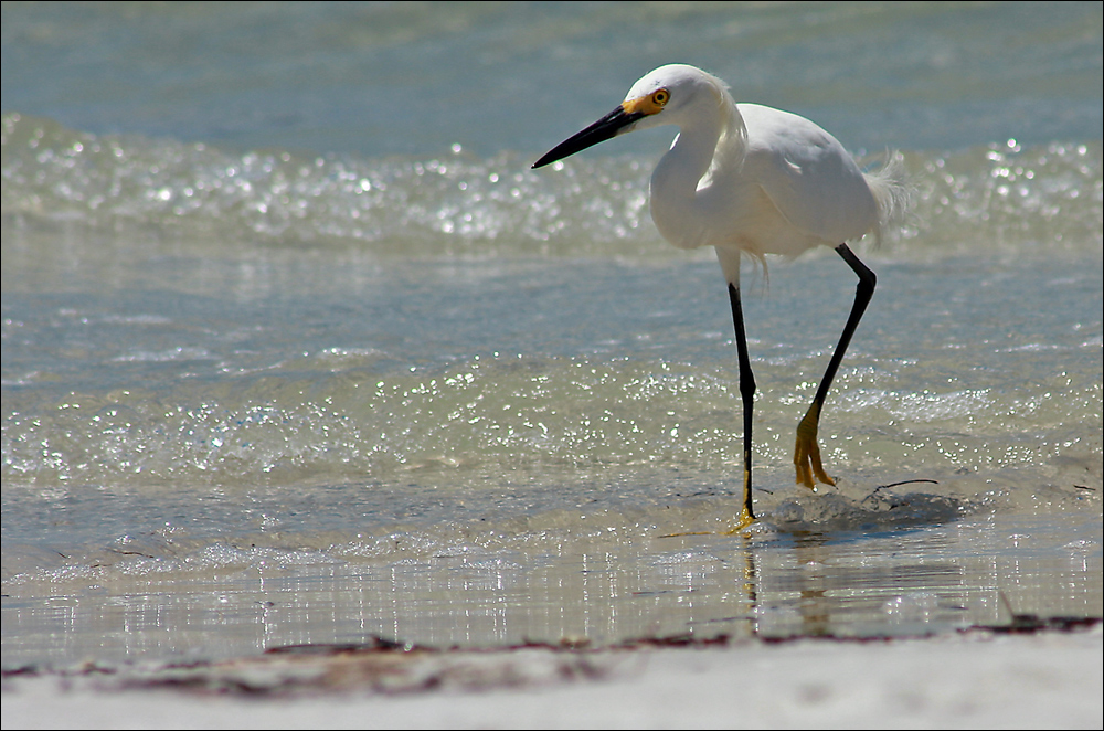 walking in the sun...