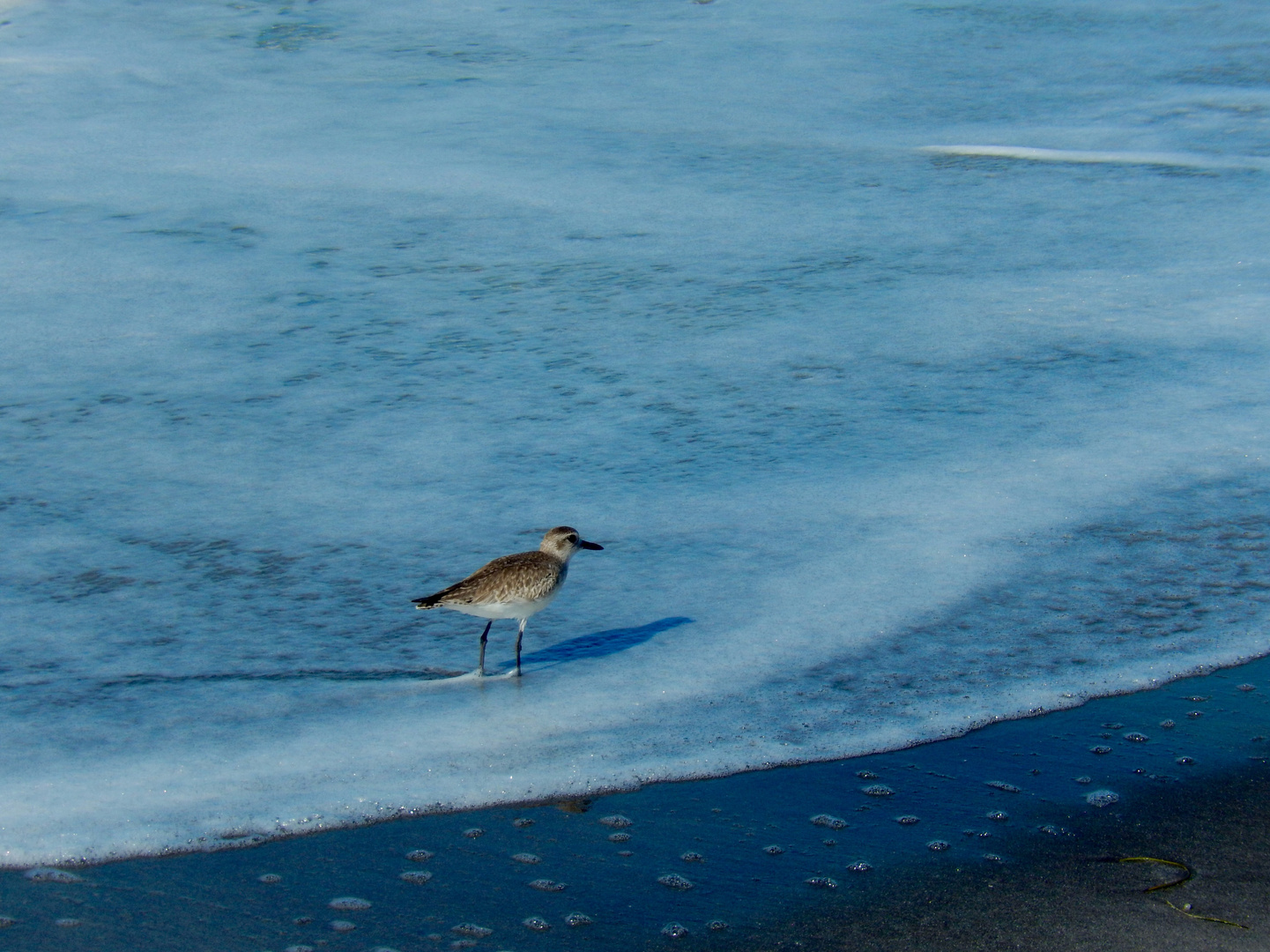 Walking in the surf...