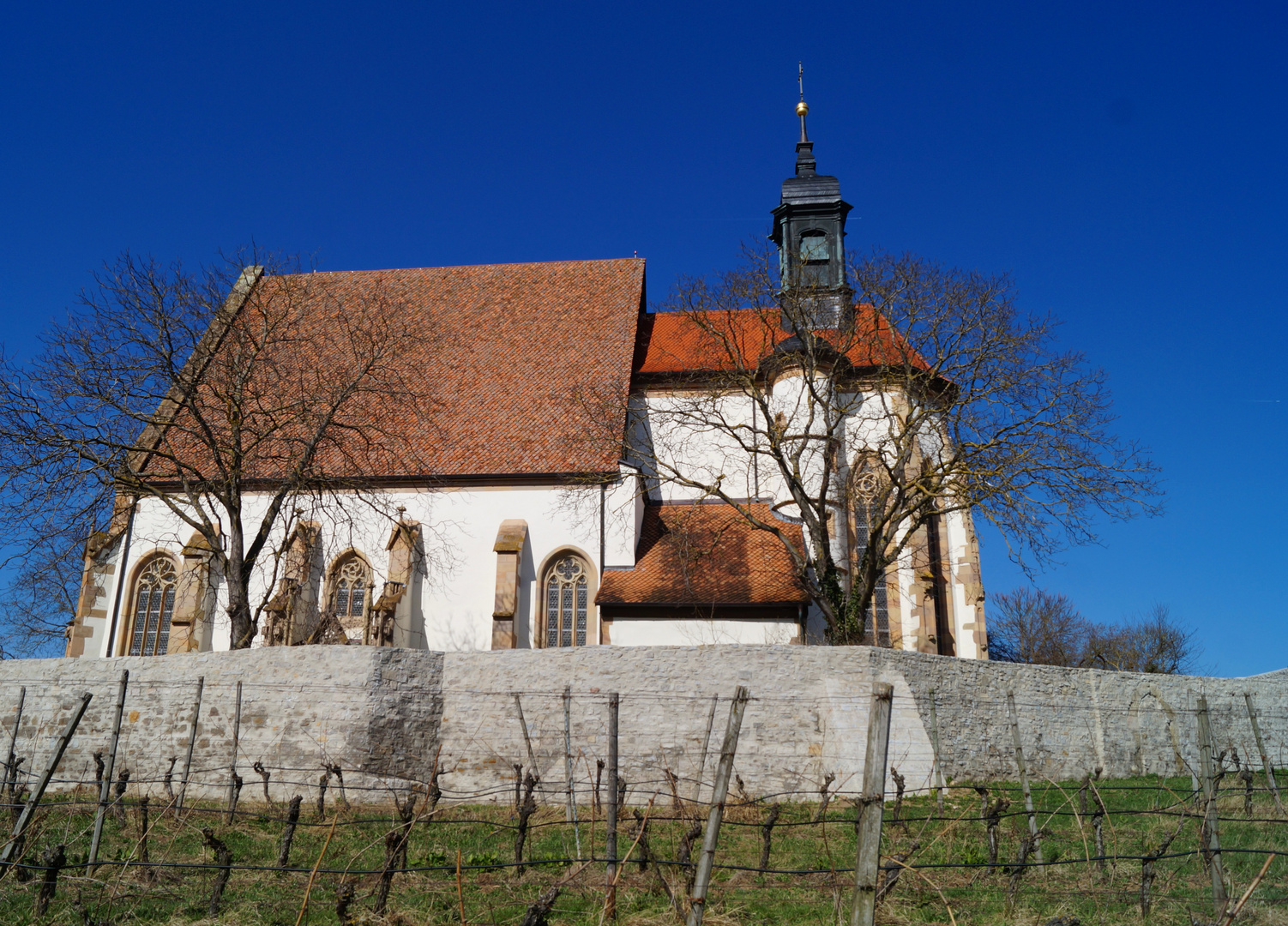 walking in the wineyards 2