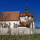 walking in the wineyards 2