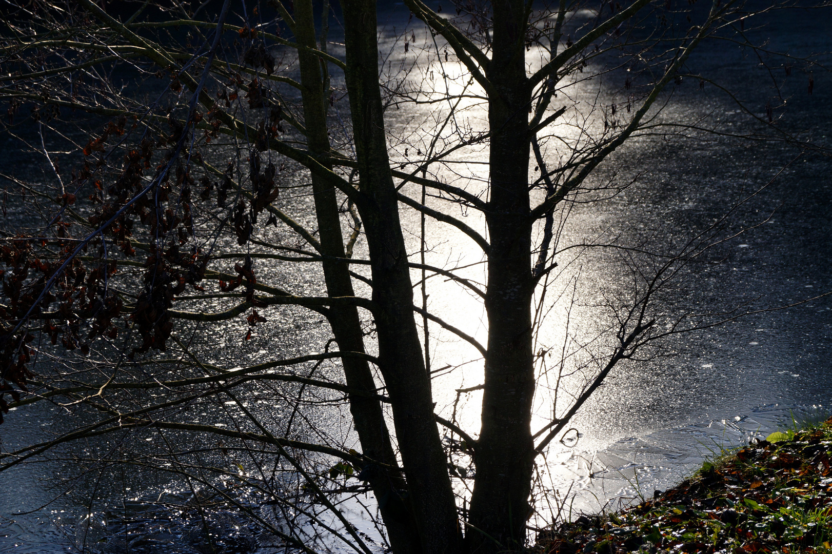 Walking in the winter sun, on a frozen morning 1