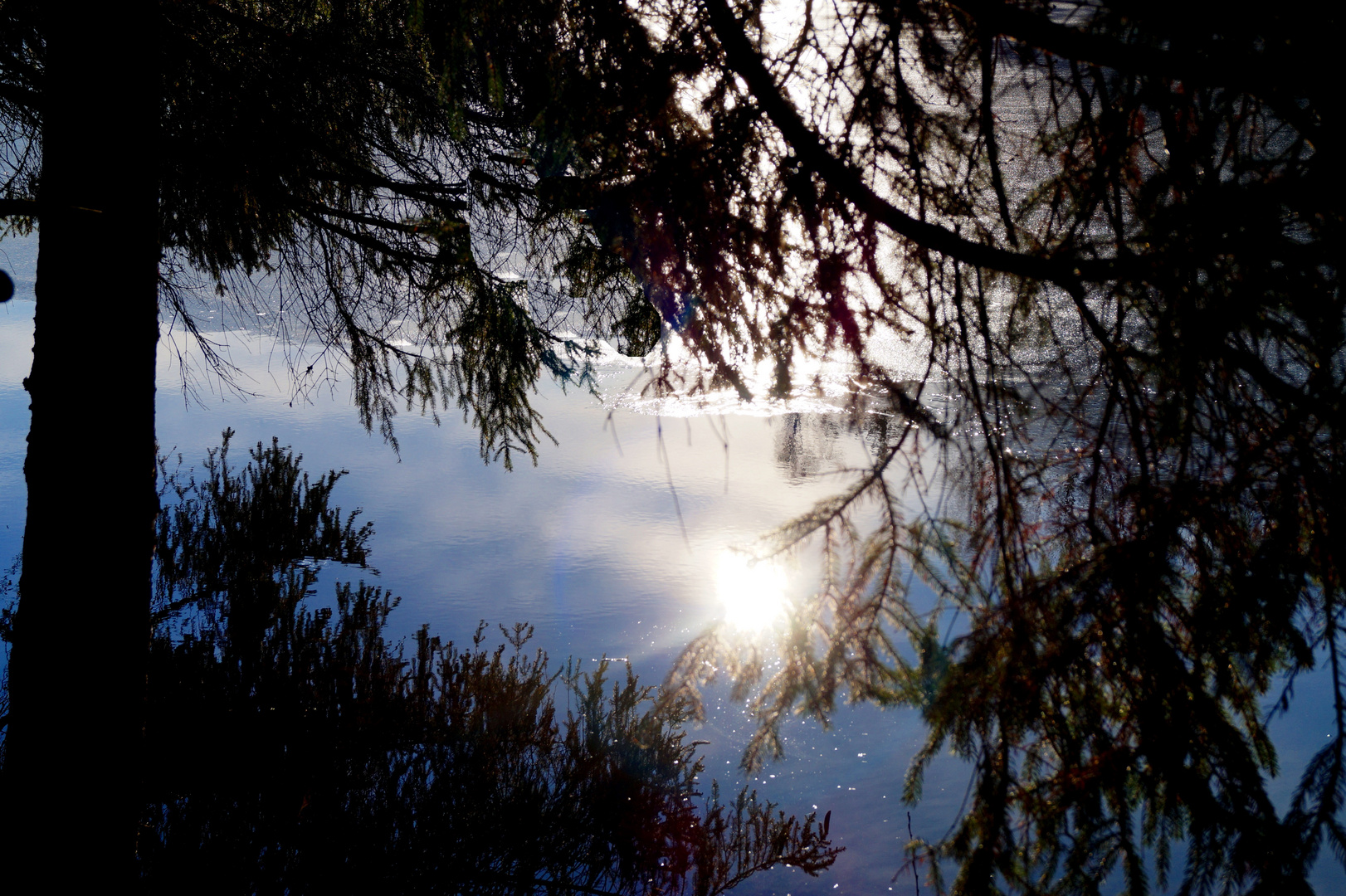 Walking in the winter sun, on a frozen morning 2