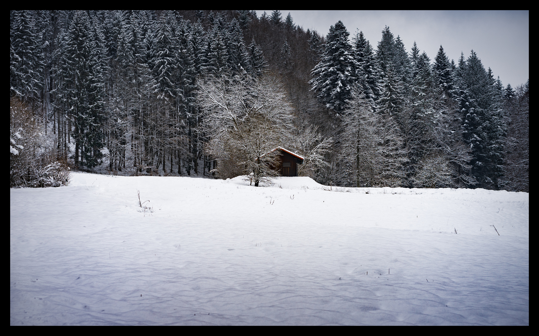 „Walking in the Winter Wonderland“