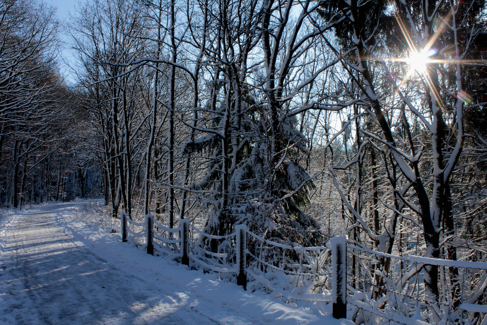 Walking in the winter wonderland