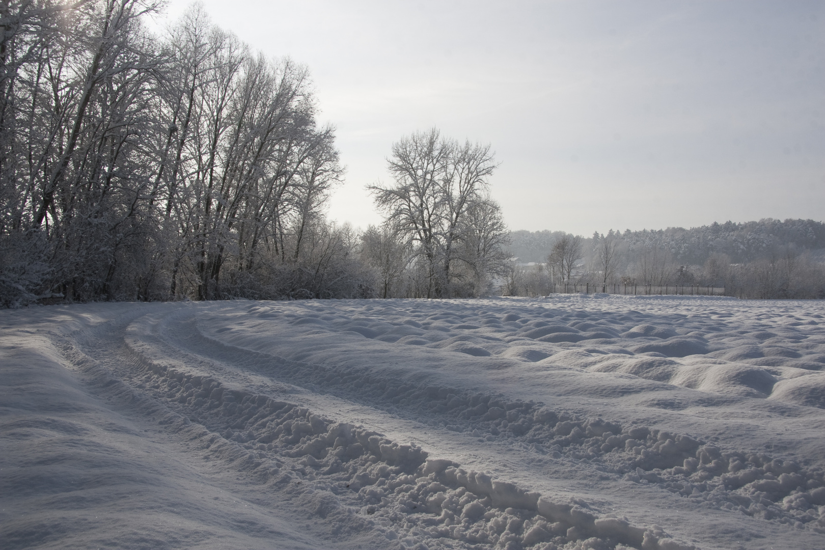 walking in the winter wonderland..