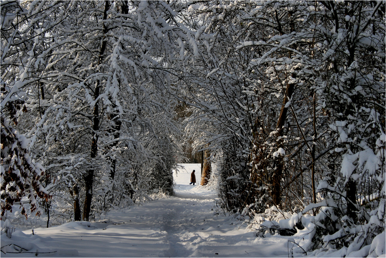walking in the winter wonderland