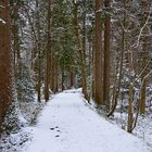 Walking in the Winterwonderland... 