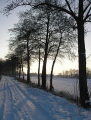 walking in the winterwonderland...