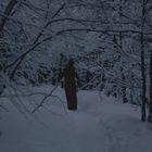 Walking in the Winterwonderland