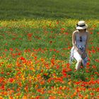 walking in Val D'Orcia 2