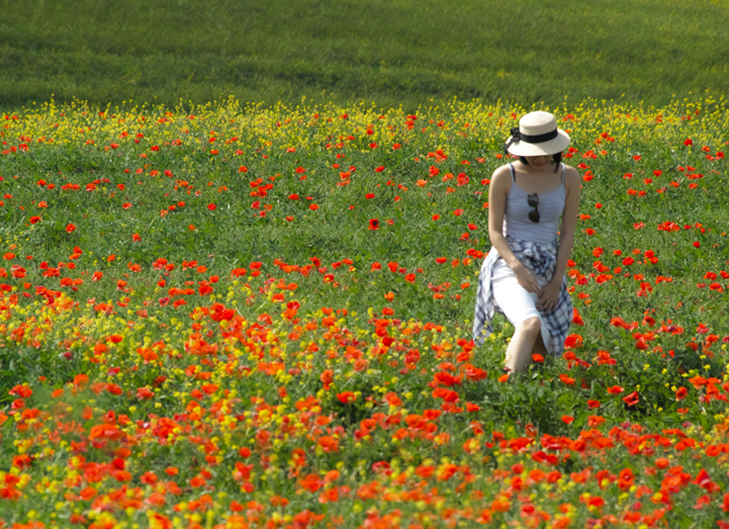 walking in Val D'Orcia 2