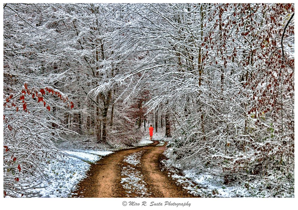 Walking in winter forest