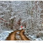 Walking in winter forest