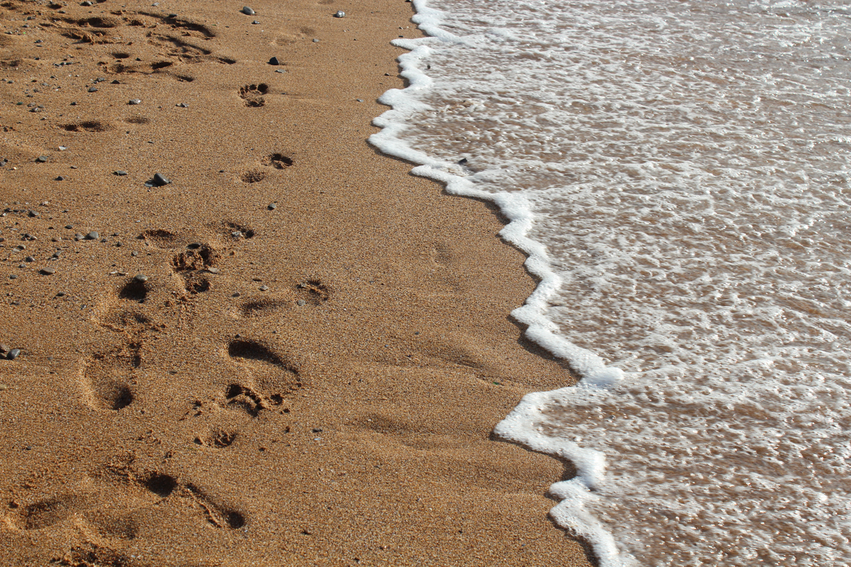 Walking next to the sea.