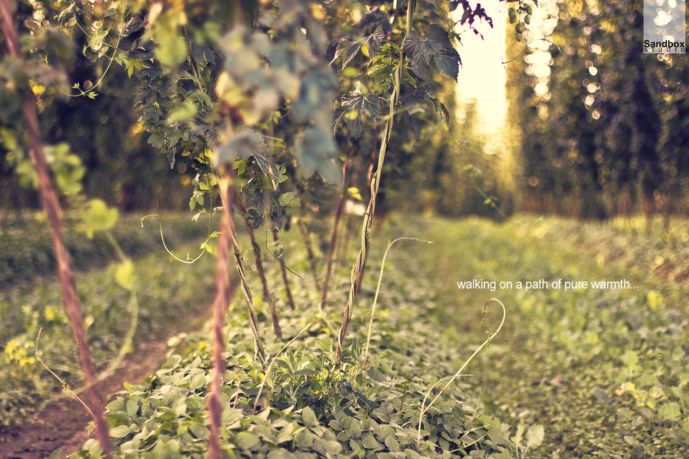 Walking on a path of pure warmth