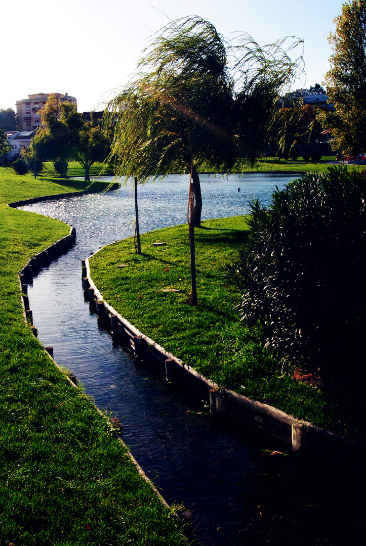 Walking on a Sunny Sunday